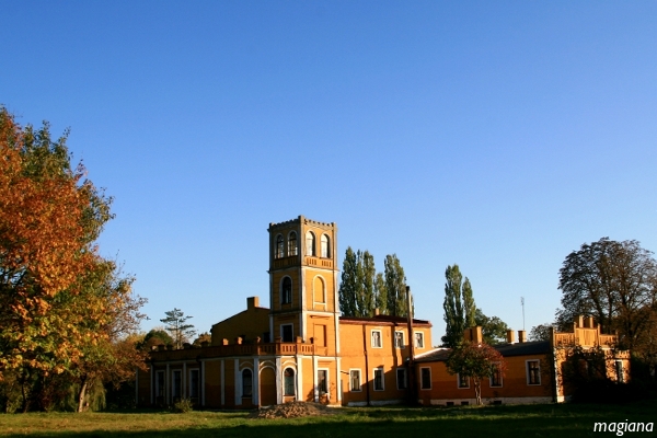 zabiczyn